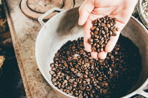 a person observing organic coffee beans