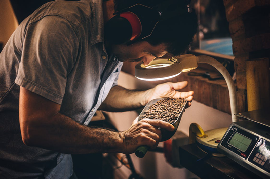 A skilled roaster examining coffee beans
