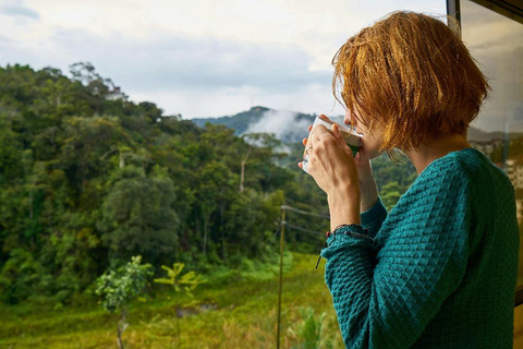 Brewing Healthier: The Best Ways to Make Your Morning Coffee Nutritious